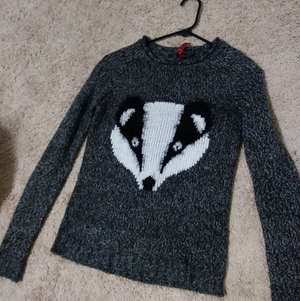 Badger Knit Fall Sweater